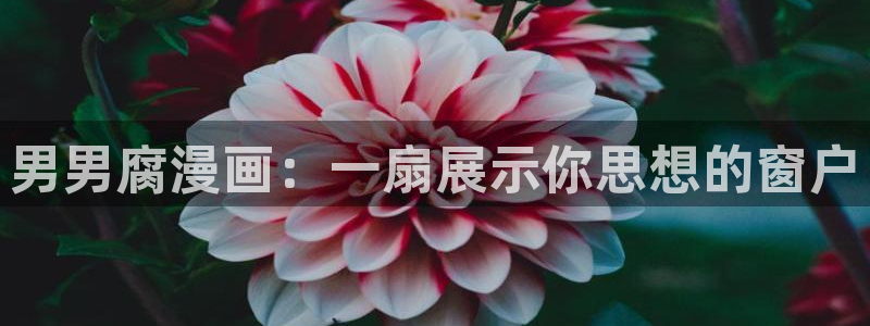 eva明日香羞羞漫画网站